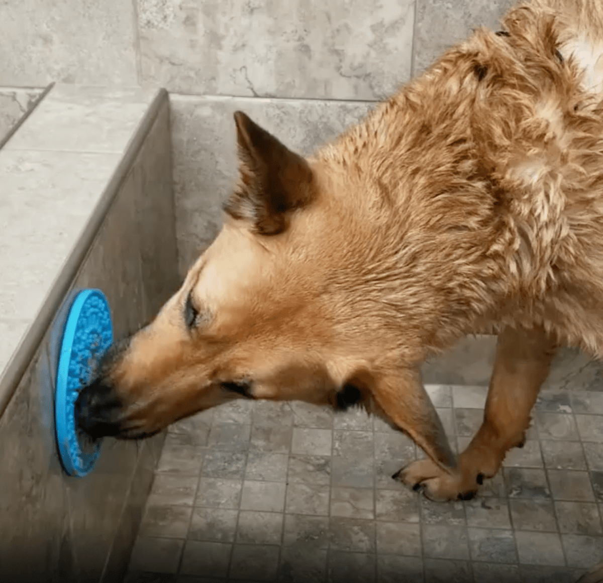 Dog Distraction Lick Mat-1