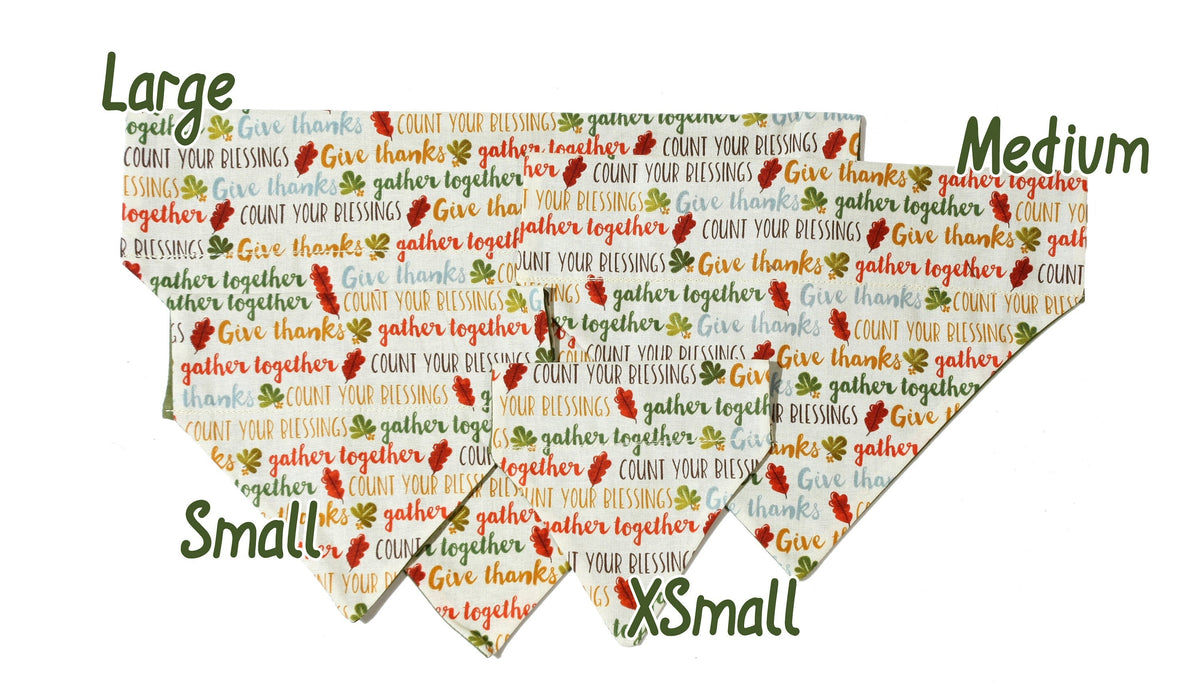 Thankful Words Pet Scarf-1